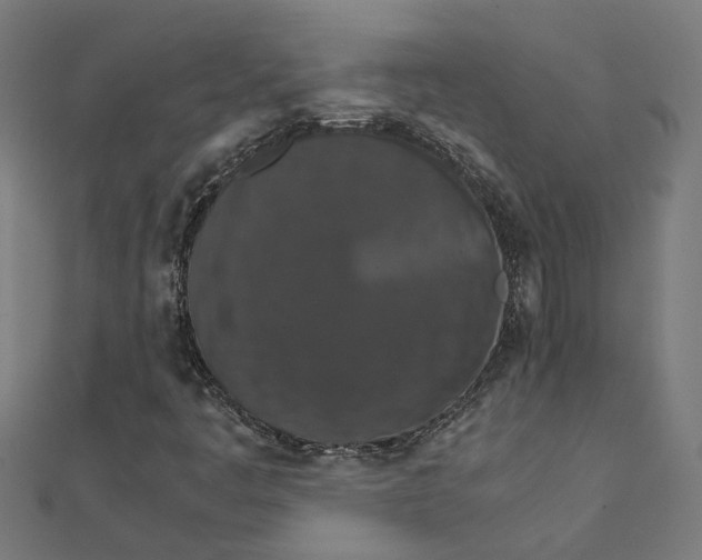 X0000111231445200907301236