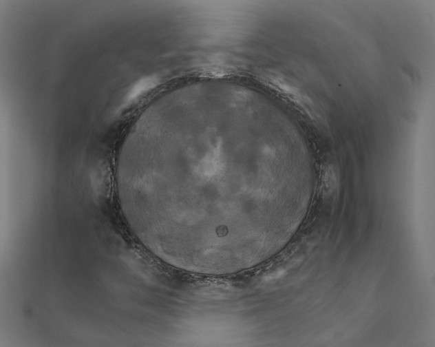 X0000111231446200907301236