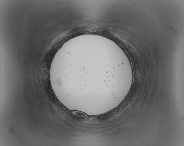 X0000111231447200907301236