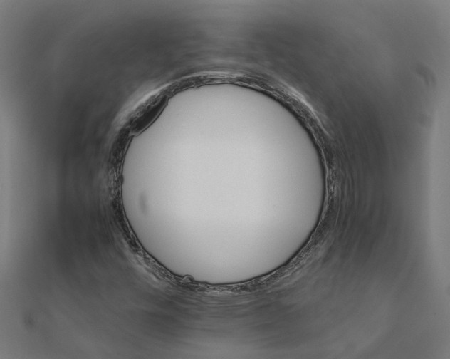 X0000111231448200907301236