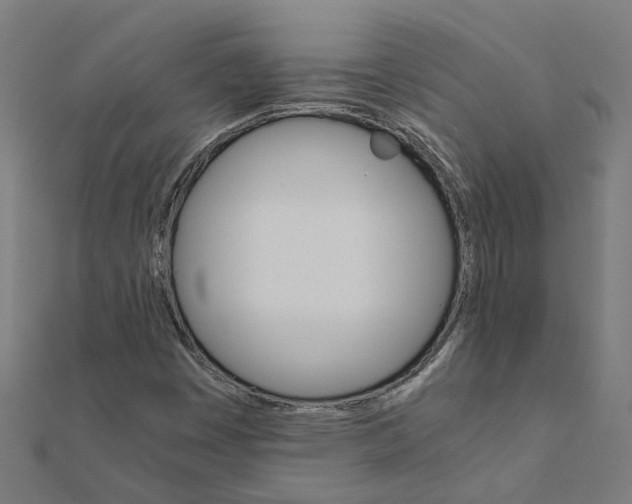 X0000111231449200907301236