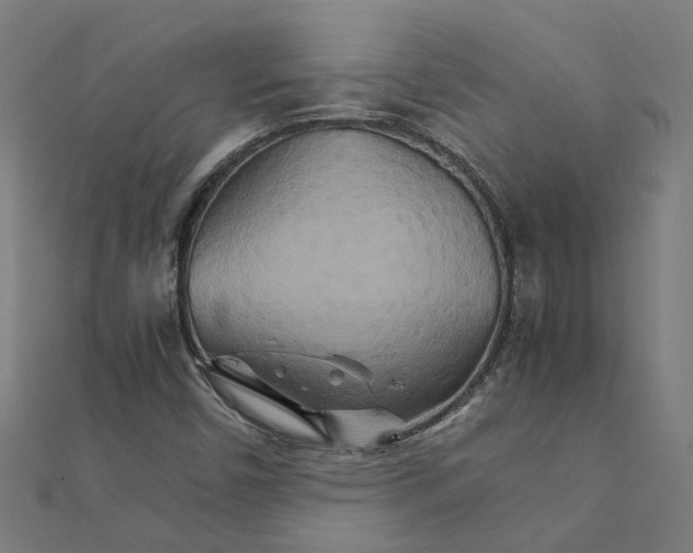 X0000111231450200907301236