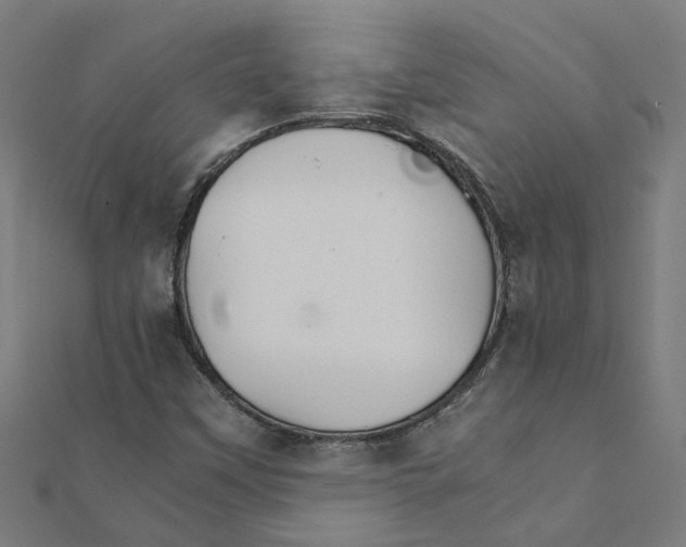 X0000111231451200907301236