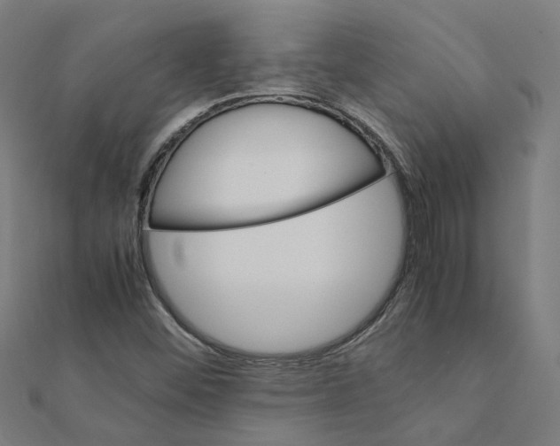 X0000111231452200907301236