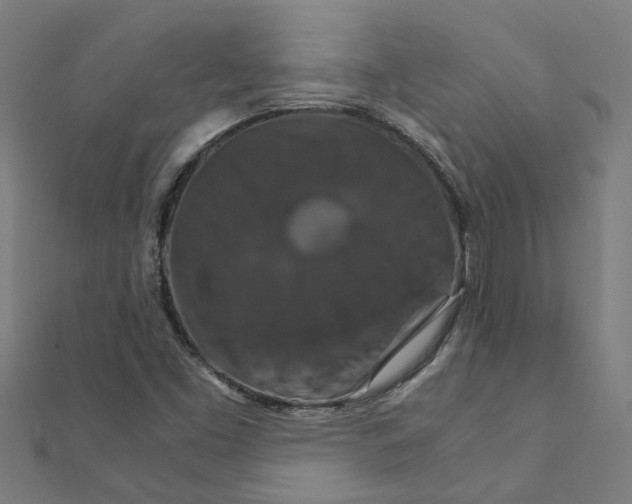 X0000111231453200907301236