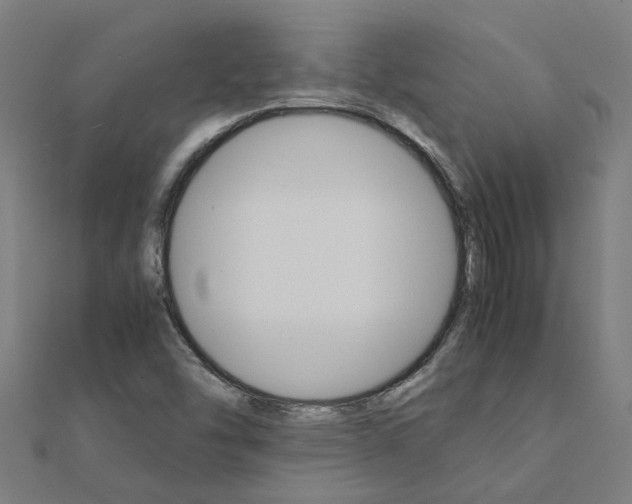 X0000111231454200907301236