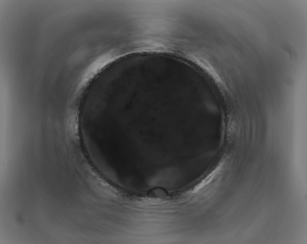 X0000111231455200907301236