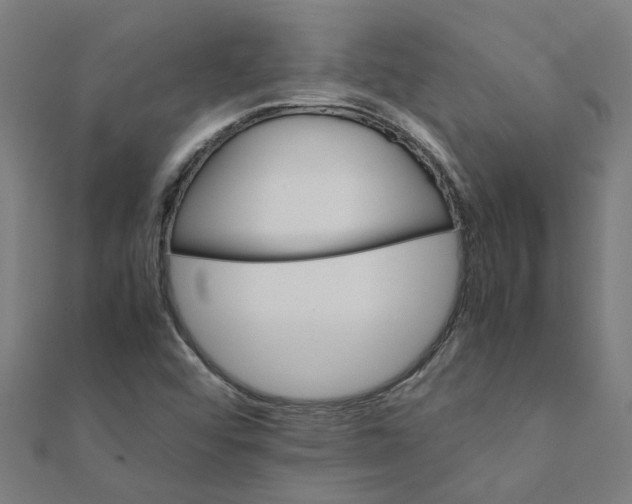 X0000111231456200907301236