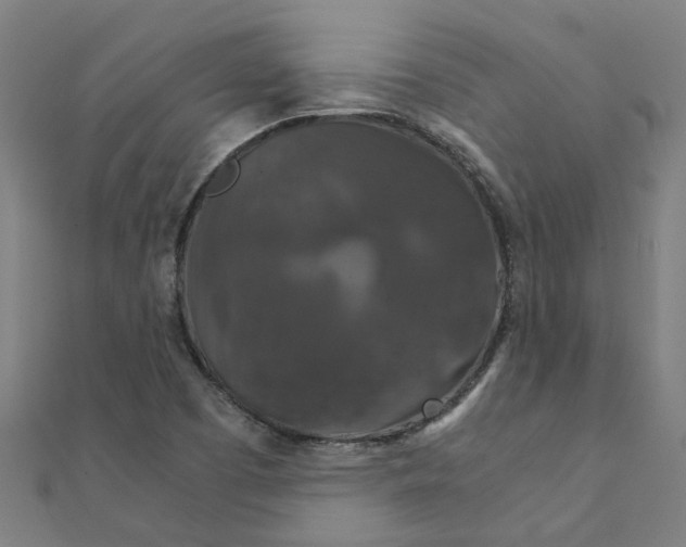 X0000111231457200907301236