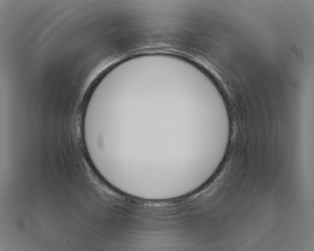 X0000111231458200907301236