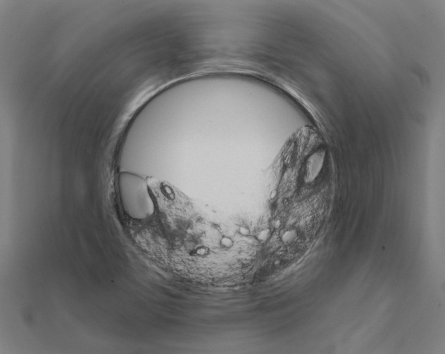 X0000111231459200907301236