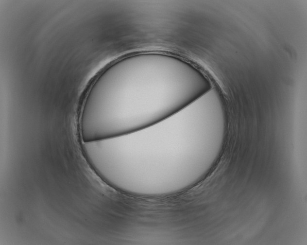 X0000111231460200907301236