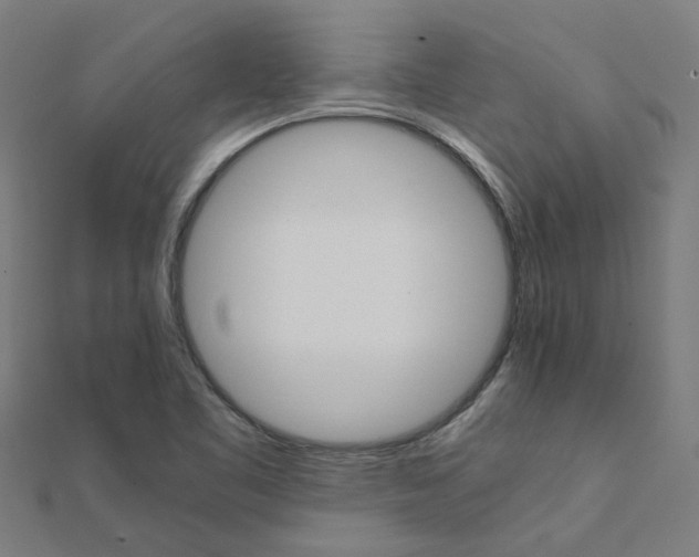 X0000111231461200907301236