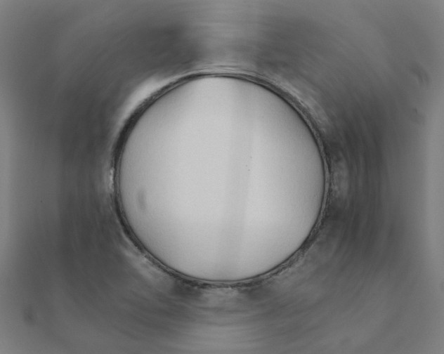 X0000111231462200907301236