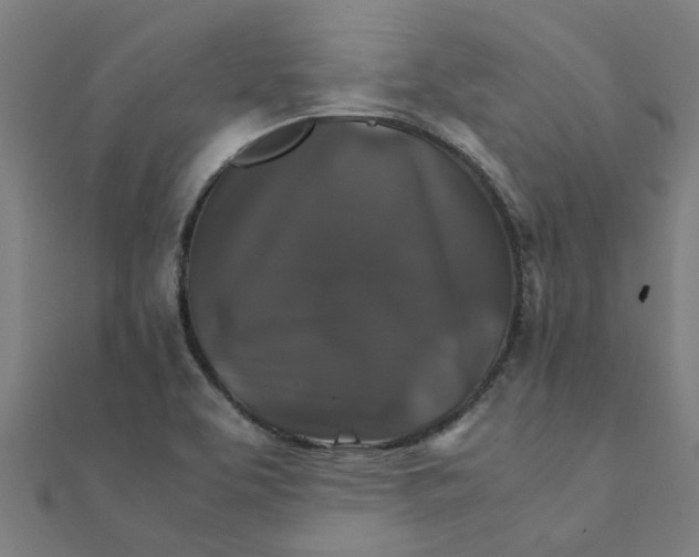 X0000111231463200907301236