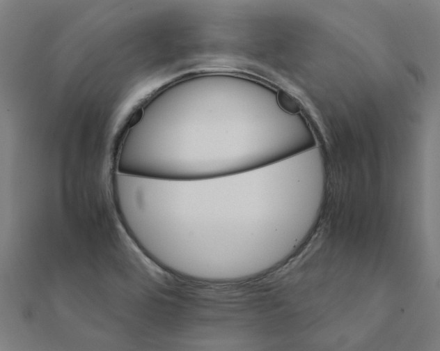 X0000111231464200907301236