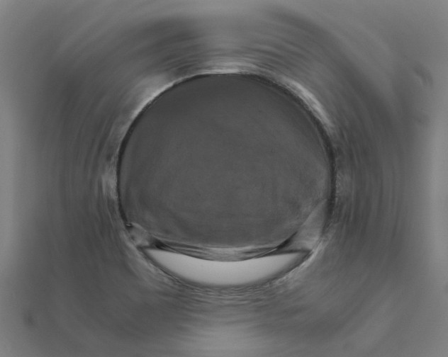 X0000111231465200907301236