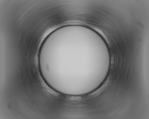 X0000111231466200907301236