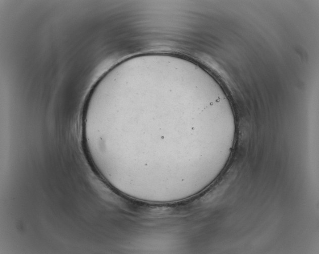 X0000111231467200907301236