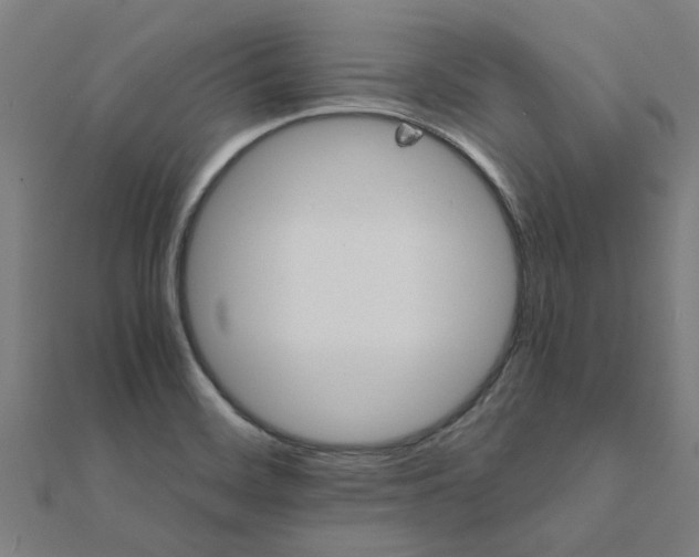 X0000111231468200907301236