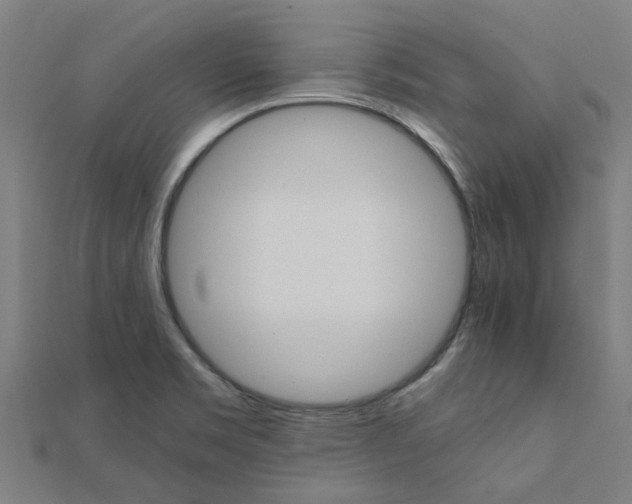 X0000111231469200907301236