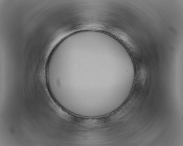 X0000111231470200907301236