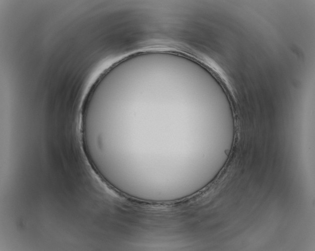 X0000111231472200907301236