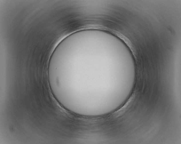 X0000111231473200907301236