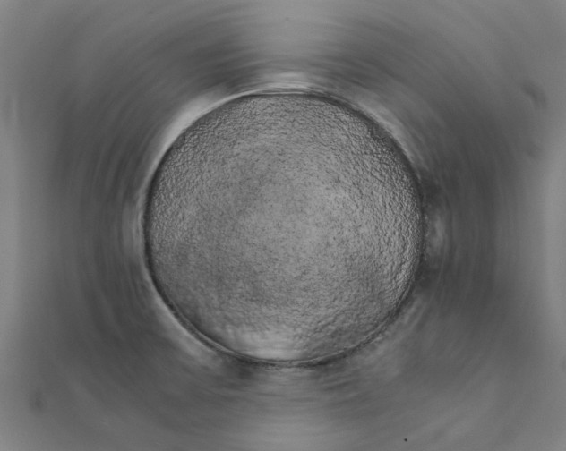 X0000111231475200907301236