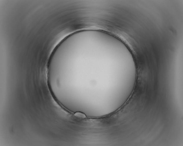 X0000111231476200907301236