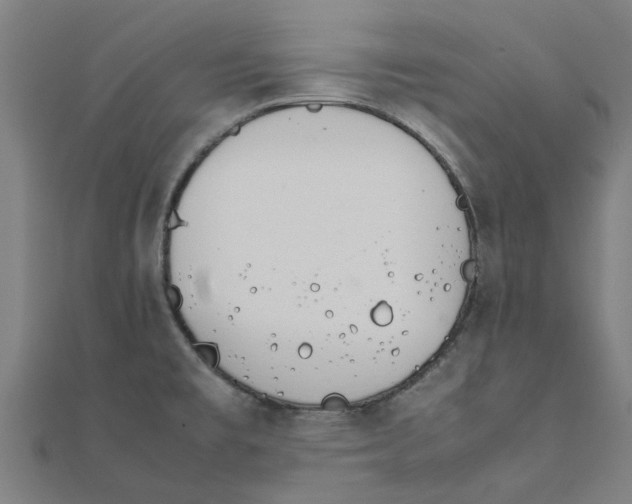 X0000111231477200907301236