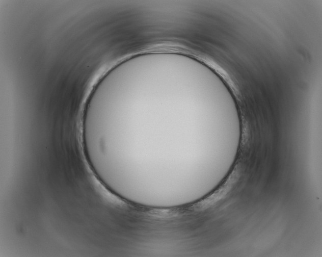 X0000111231478200907301236