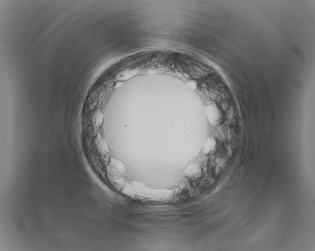 X0000111231479200907301236