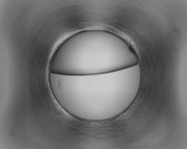 X0000111231480200907301236