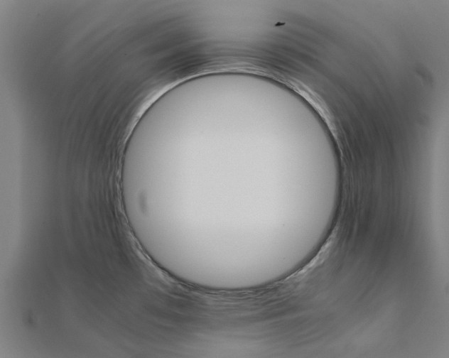 X0000111231481200907301236