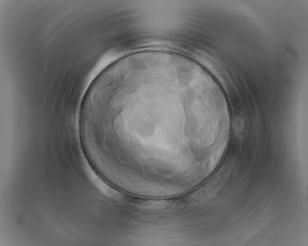 X0000111231482200907301236