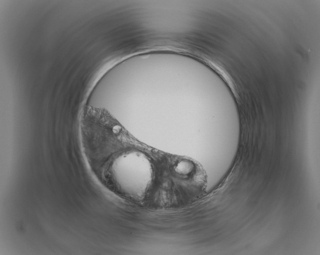 X0000111231483200907301236