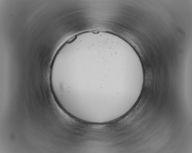 X0000111231484200907301236