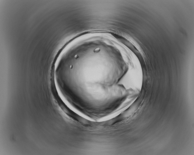 X0000111231485200907301236