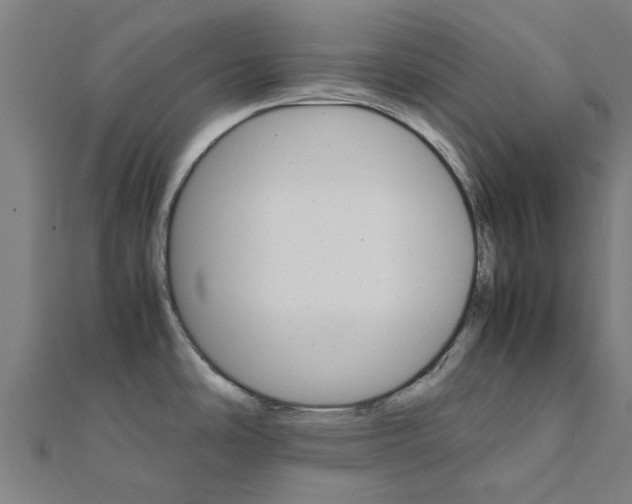 X0000111231486200907301236