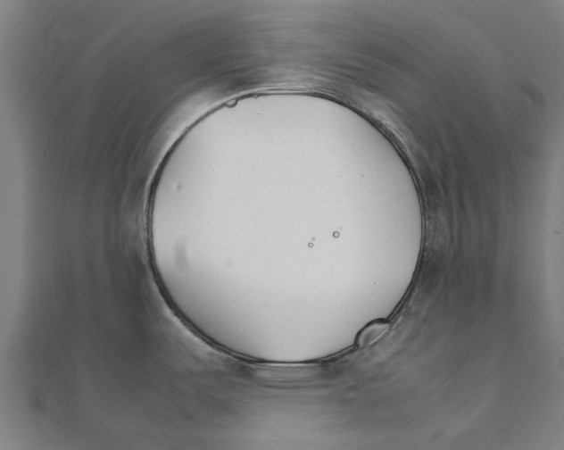 X0000111231487200907301236