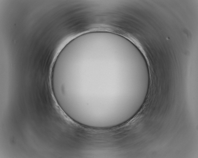 X0000111231488200907301236