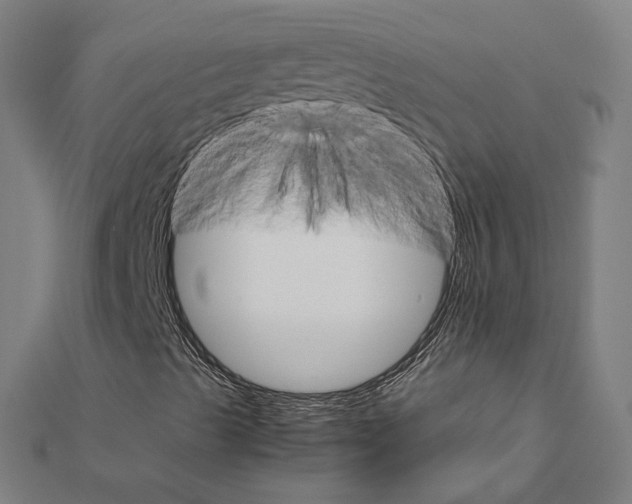 X0000111231489200907301235