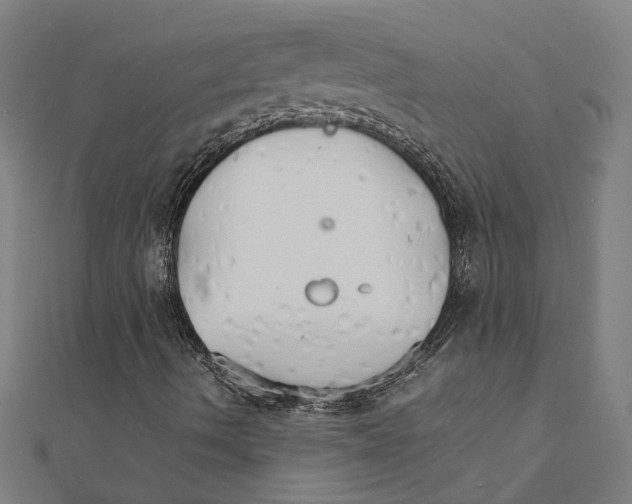 X0000111231490200907301235