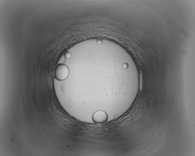 X0000111231491200907301235