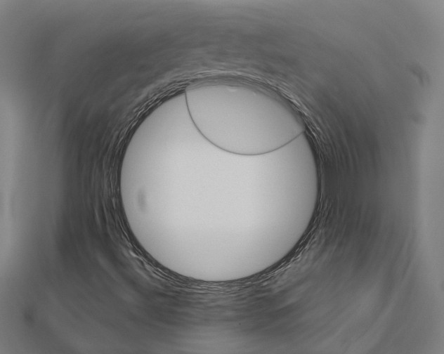 X0000111231492200907301235