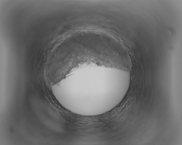 X0000111231493200907301235