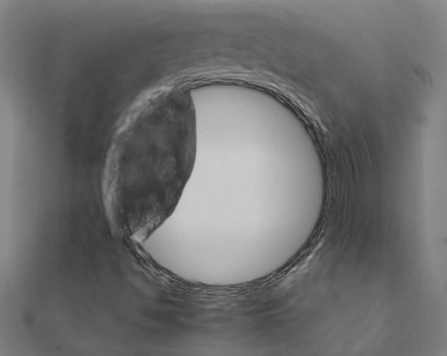 X0000111231494200907301235