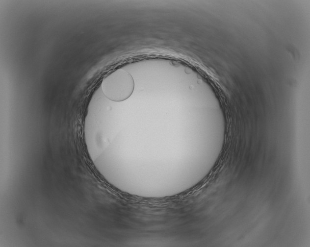 X0000111231495200907301235