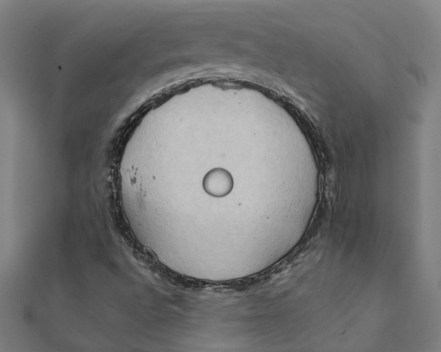 X0000111231496200907301235